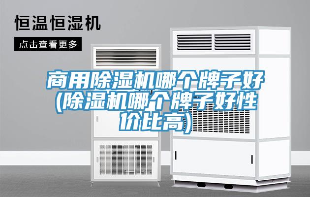 商用香蕉视频国产哪個牌子好(香蕉视频国产哪個牌子好性價比高)