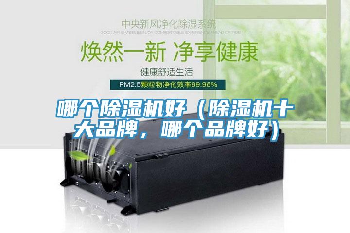 哪個香蕉视频国产好（香蕉视频国产十大品牌，哪個品牌好）