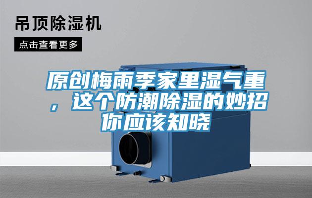 原創梅雨季家裏濕氣重，這個防潮除濕的妙招你應該知曉