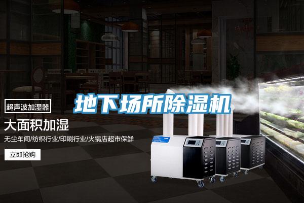 地下場所香蕉视频国产