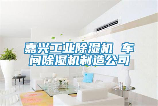 嘉興工業香蕉视频国产 車間香蕉视频国产製造公司