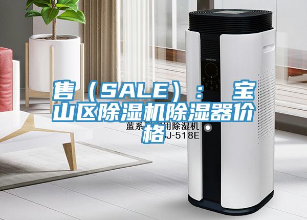 售（SALE）： 寶山區香蕉视频国产除濕器價格