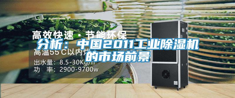 分析：中國2011工業香蕉视频国产的市場前景