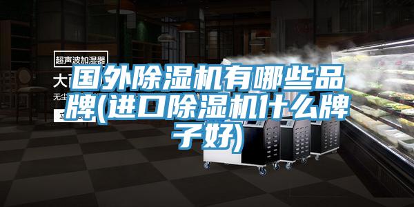 國外香蕉视频国产有哪些品牌(進口香蕉视频国产什麽牌子好)