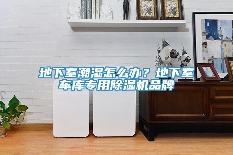地下室潮濕怎麽辦？地下室車庫專用香蕉视频国产品牌