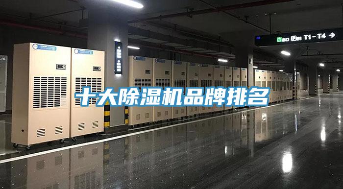 十大香蕉视频国产品牌排名