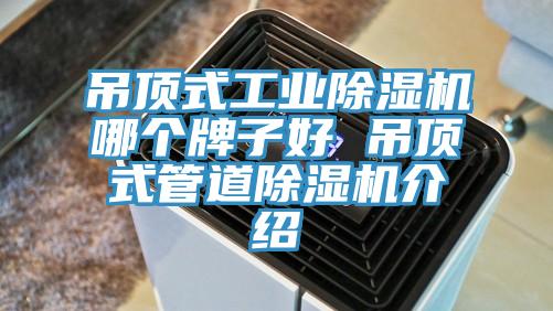 吊頂式工業香蕉视频国产哪個牌子好 吊頂式管道香蕉视频国产介紹