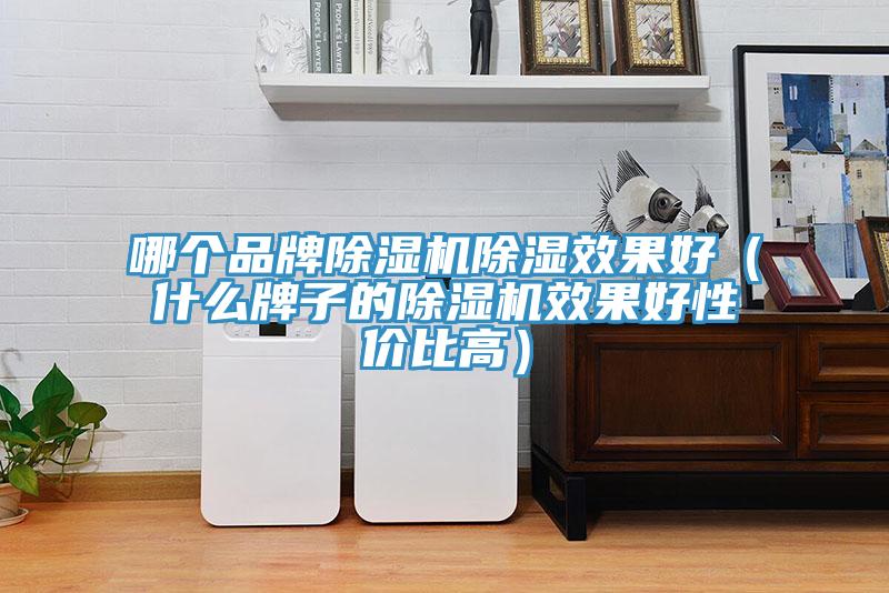 哪個品牌香蕉视频国产除濕效果好（什麽牌子的香蕉视频国产效果好性價比高）