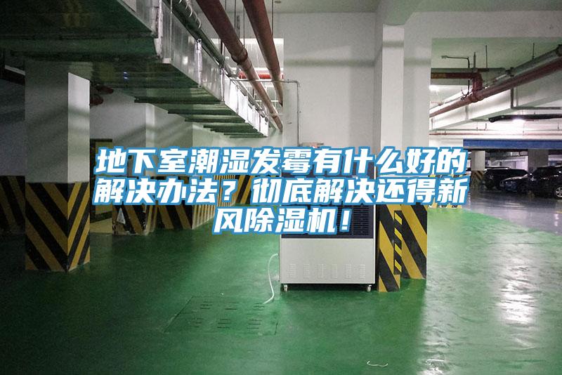 地下室潮濕發黴有什麽好的解決辦法？徹底解決還得新風香蕉视频国产！