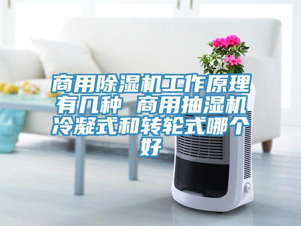 商用香蕉视频国产工作原理有幾種 商用抽濕機冷凝式和轉輪式哪個好