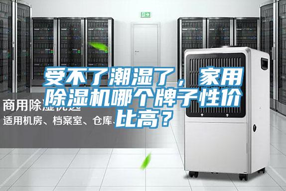 受不了潮濕了，家用香蕉视频国产哪個牌子性價比高？