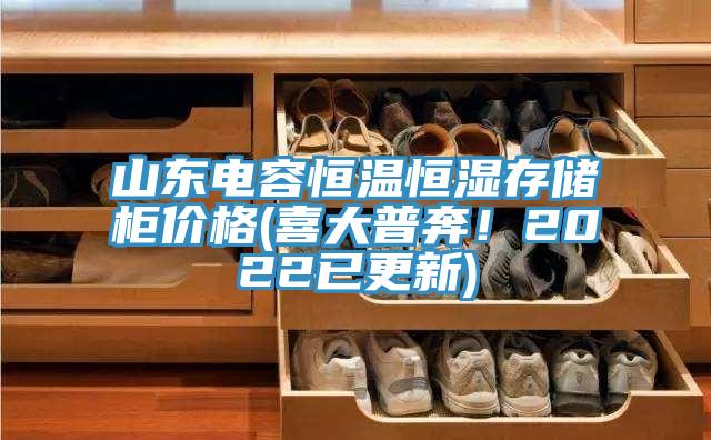 山東電容恒溫恒濕存儲櫃價格(喜大普奔！2022已更新)