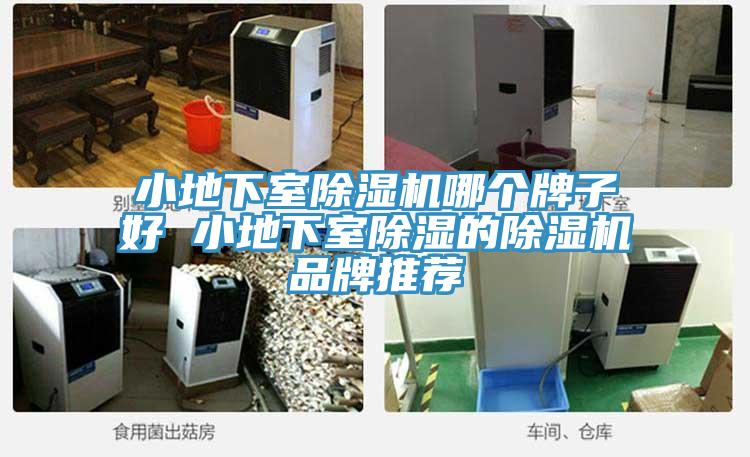 小地下室香蕉视频国产哪個牌子好 小地下室除濕的香蕉视频国产品牌推薦