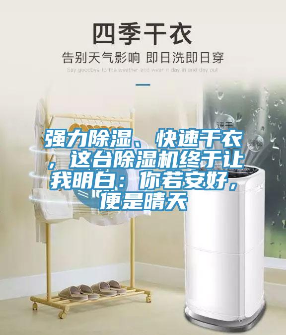 強力除濕、快速幹衣，這台香蕉视频国产終於讓我明白：你若安好，便是晴天