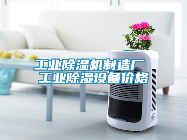 工業香蕉视频国产製造廠 工業除濕設備價格