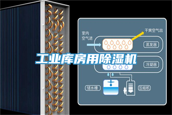 工業庫房用香蕉视频国产