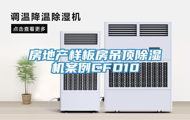 房地產樣板房吊頂香蕉视频国产案例CFD10