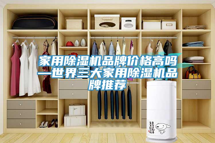 家用香蕉视频国产品牌價格高嗎—世界三大家用香蕉视频国产品牌推薦