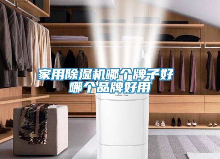 家用香蕉视频国产哪個牌子好 哪個品牌好用