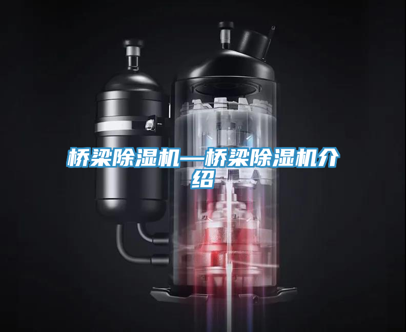 橋梁香蕉视频国产—橋梁香蕉视频国产介紹