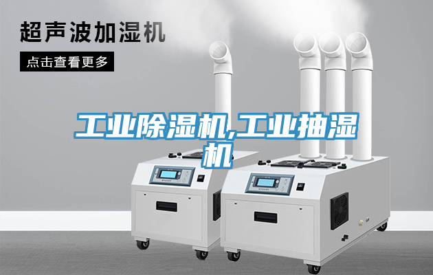 工業香蕉视频国产,工業抽濕機