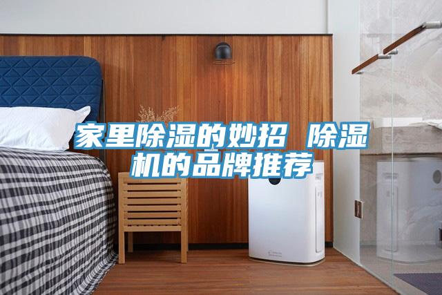 家裏除濕的妙招 香蕉视频国产的品牌推薦