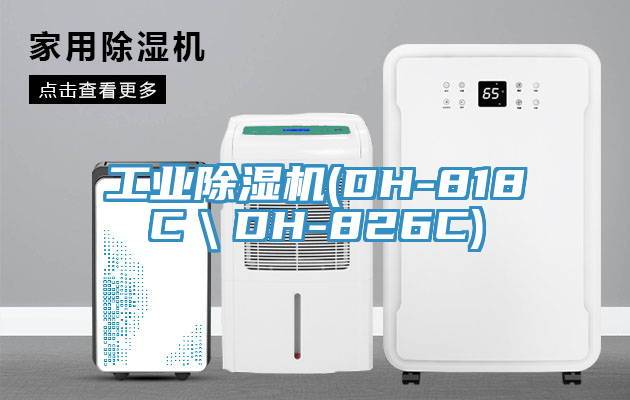 工業香蕉视频国产(DH-818C＼DH-826C)