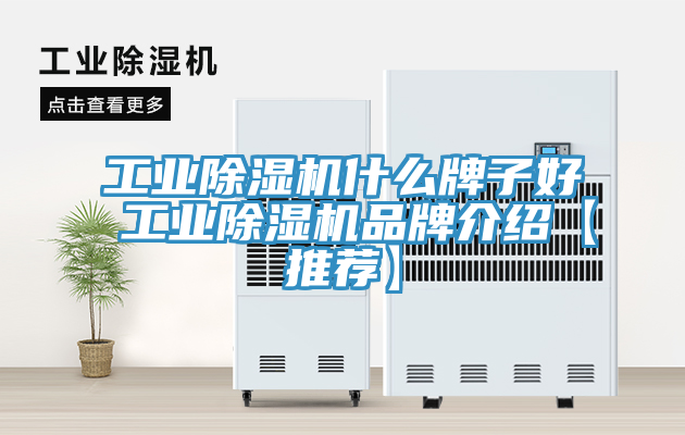 工業香蕉视频国产什麽牌子好 工業香蕉视频国产品牌介紹【推薦】