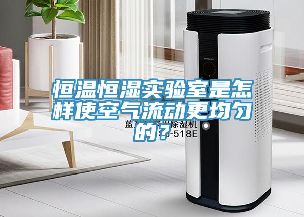 恒溫恒濕實驗室是怎樣使空氣流動更均勻的？