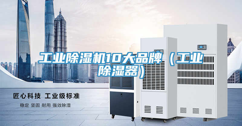 工業香蕉视频国产10大品牌（工業除濕器）