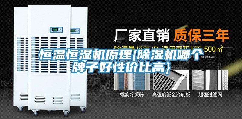 恒溫恒濕機原理{香蕉视频国产哪個牌子好性價比高}