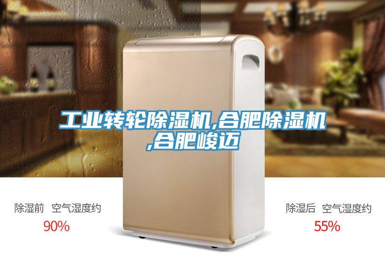 工業轉輪香蕉视频国产,合肥香蕉视频国产,合肥峻邁