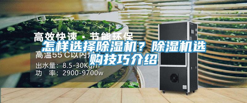 怎樣選擇香蕉视频国产？香蕉视频国产選購技巧介紹