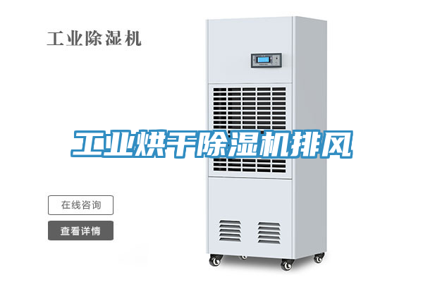 工業烘幹香蕉视频国产排風