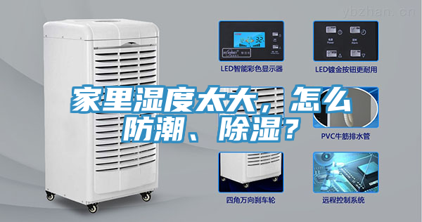 家裏濕度太大，怎麽防潮、除濕？