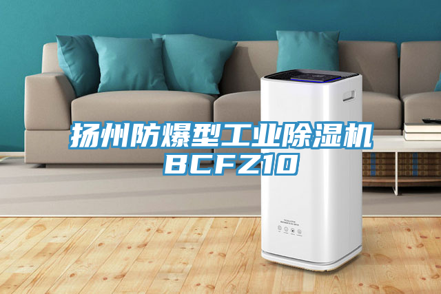 揚州防爆型工業香蕉视频国产 BCFZ10