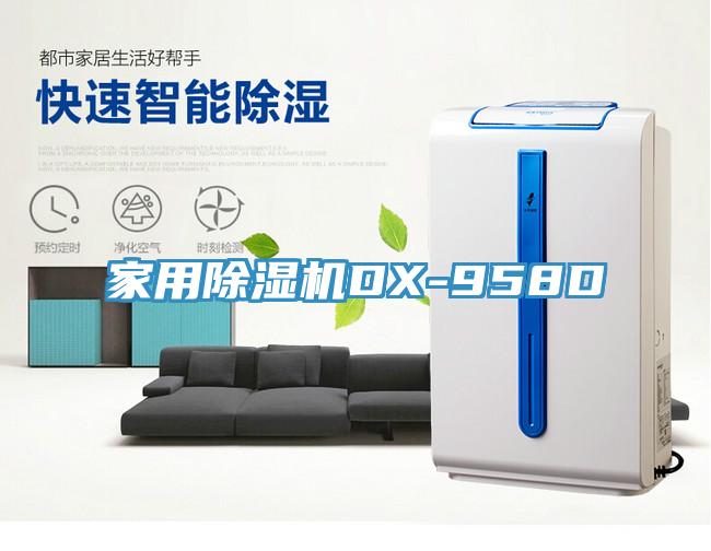 家用香蕉视频国产DX-958D