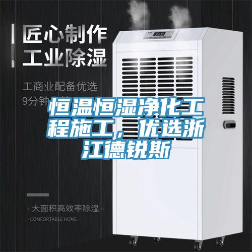 恒溫恒濕淨化工程施工，優選浙江德銳斯