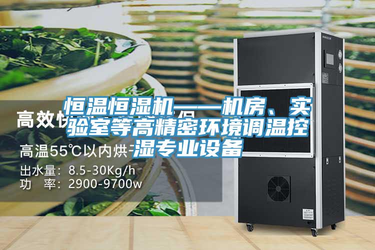 恒溫恒濕機——機房、實驗室等高精密環境調溫控濕專業設備
