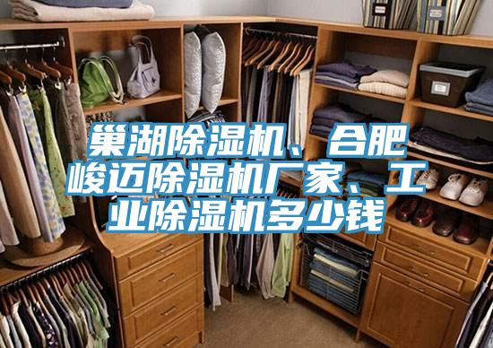 巢湖香蕉视频国产、合肥峻邁香蕉视频国产廠家、工業香蕉视频国产多少錢