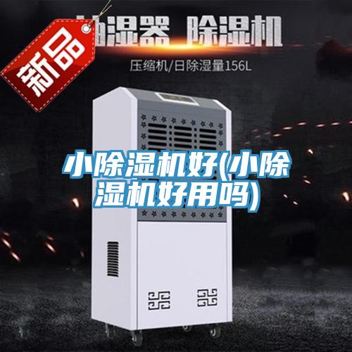 小香蕉视频国产好(小香蕉视频国产好用嗎)