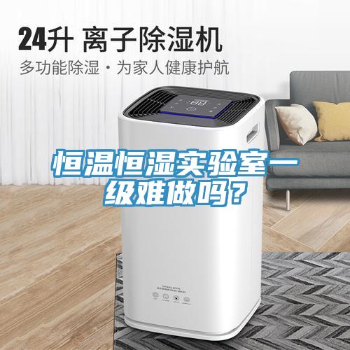 恒溫恒濕實驗室一級難做嗎？