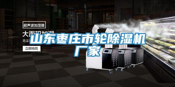 山東棗莊市輪香蕉视频国产廠家
