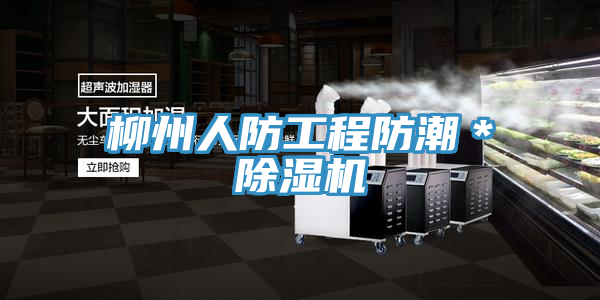 柳州人防工程防潮＊香蕉视频国产