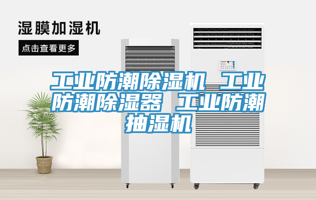 工業防潮香蕉视频国产 工業防潮除濕器 工業防潮抽濕機