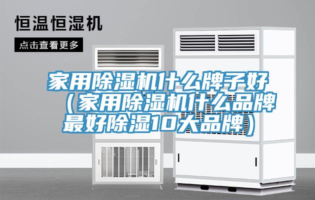 家用香蕉视频国产什麽牌子好（家用香蕉视频国产什麽品牌最好除濕10大品牌）