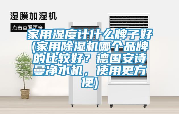 家用濕度計什麽牌子好(家用香蕉视频国产哪個品牌的比較好？德國大香蕉性爱网淨水機，使用更方便)