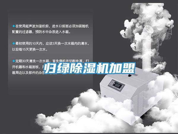 歸綠香蕉视频国产加盟