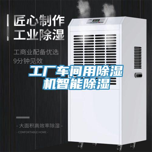 工廠車間用香蕉视频国产智能除濕