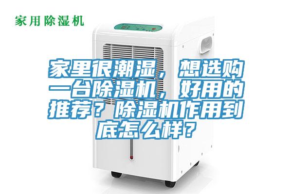 家裏很潮濕，想選購一台香蕉视频国产，好用的推薦？香蕉视频国产作用到底怎麽樣？